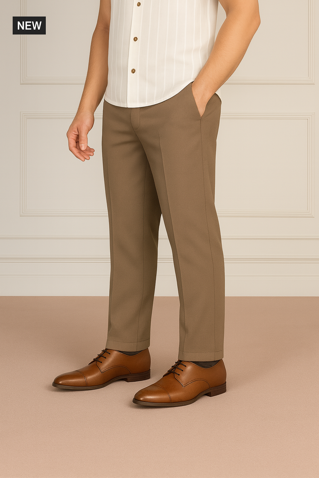 Ashe brown pant casual