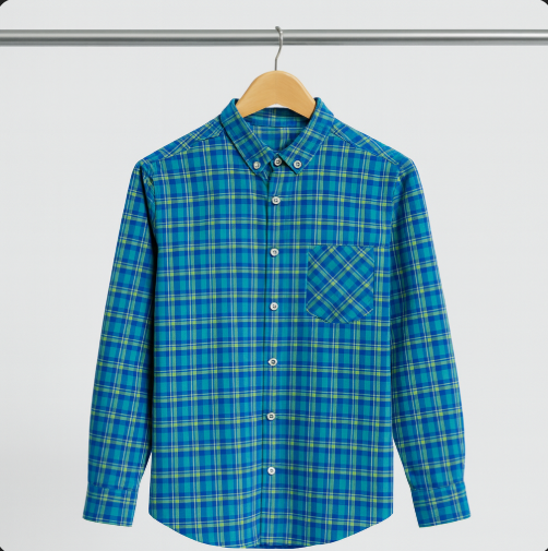Blue & Green Checked Casual Shirt – Premium Cotton